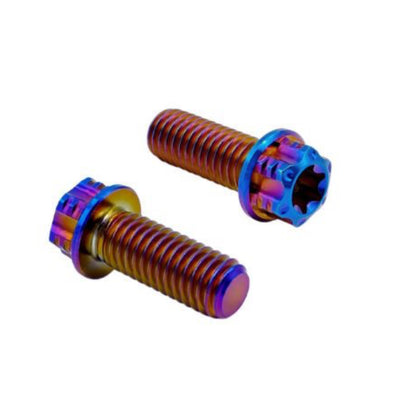 Titanium Schrauben Gabelbrücke