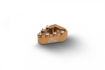 SM Project Bremspedal-Auftritt TM Racing ab 1999 – Bronze