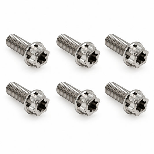 Titanium Schrauben Bremsscheibe